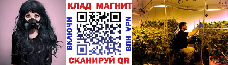 Где купить Осташков Cocaine  СОЛЬ  ГАШИШ 