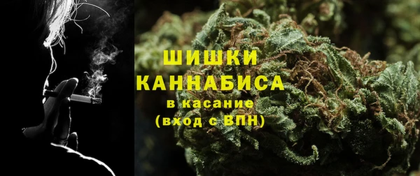 крисы Абдулино
